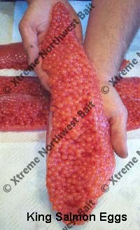 Fresh Salmon Egg, Fresh Salmon Roe, Xtreme Northwest Bait Co